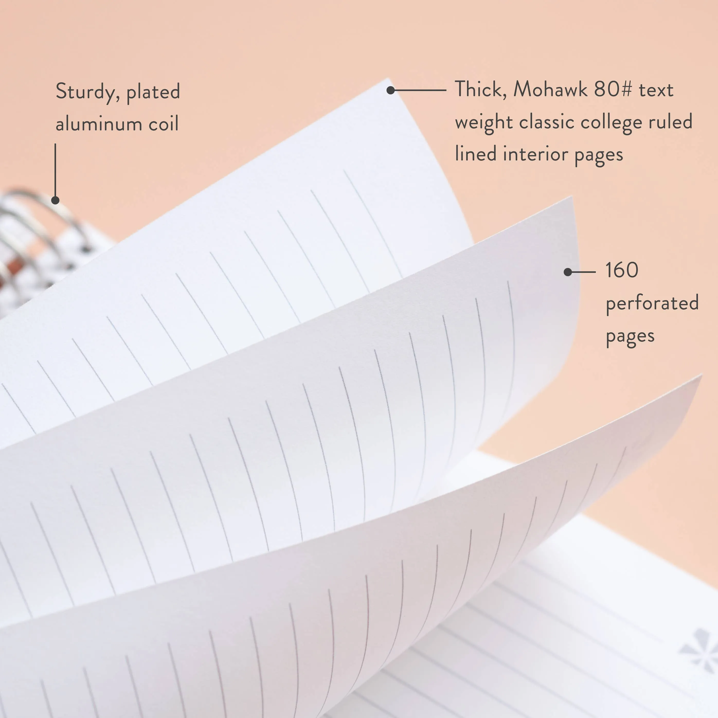 Erin Condren 7x9 Evolve Coiled Notebook - Lined